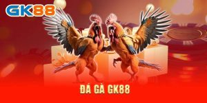 Đá gà C1 và bí quyết giúp chiến kê giữ thể lực bền bĩ
