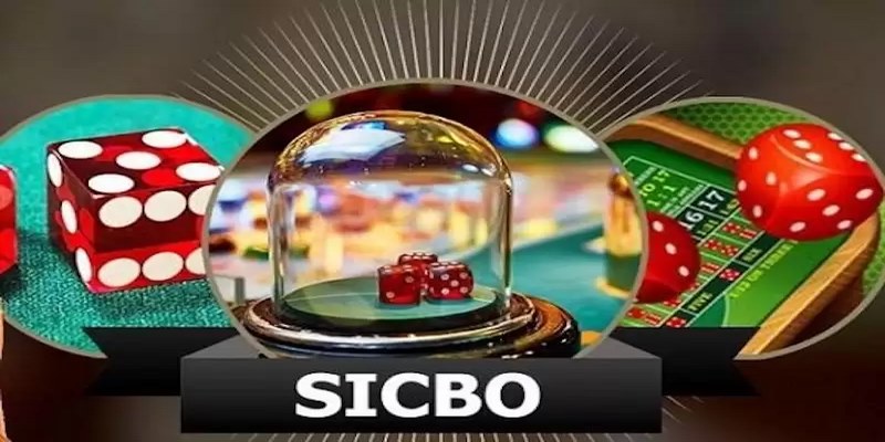 Sicbo GK88 là gì và kinh nghiệm thằng cược cho newbei